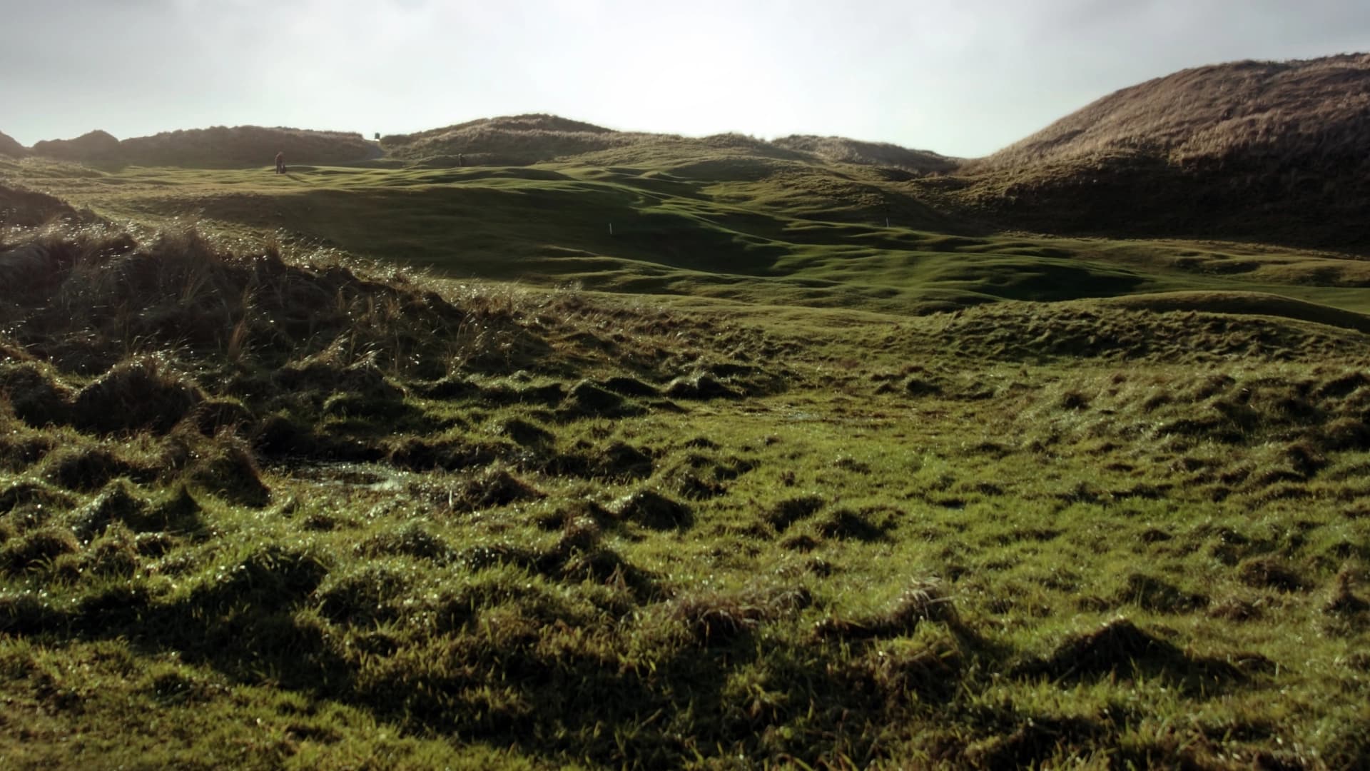 Golfing at Ballybunion? Stress-Free Transport for Your Group